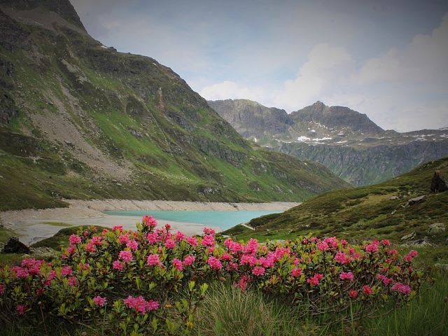 Wandern-urlaub-alpenrose-see