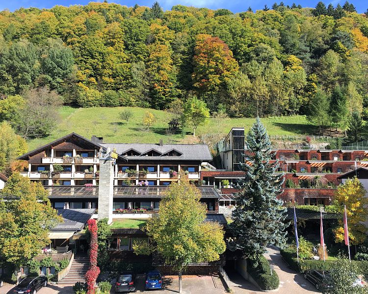 Hotel alpenrose discount