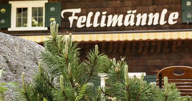 Almhütte Fellimännle