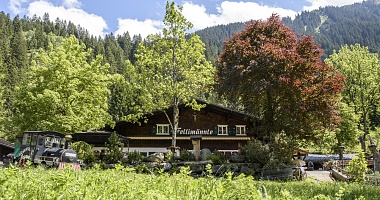 Alpine Hut Fellimännle