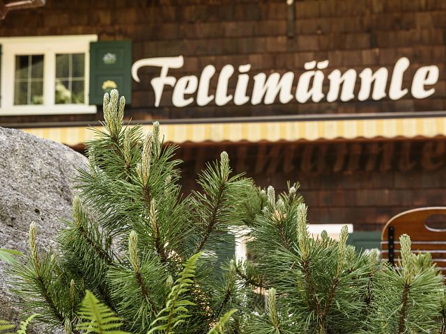 DSC_5967 Almhütte Fellimännle