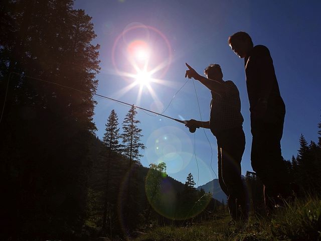 Fischen-Montafon-Urlaub-Alpenrose