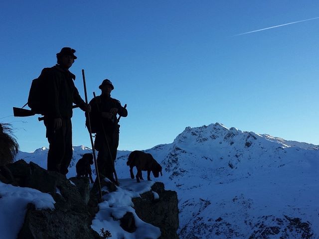 Jagd-Sonnenaufgang-Hund