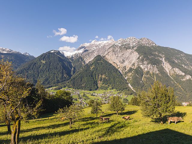 Alpenrose_Schrun_Silvretta_montafon_biker_danielzangerl